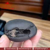 Laxmi Narayan Shaligram